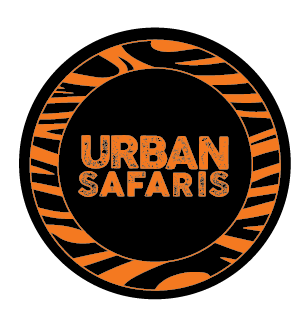 Urban Safaris